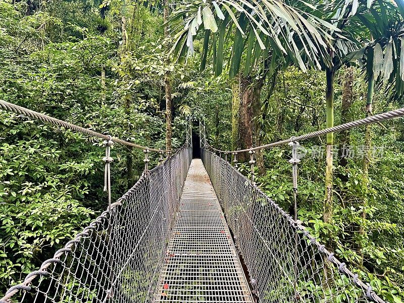 徒步旅行桥- Místico阿雷纳尔吊桥，阿雷纳尔火山国家公园，哥斯达黎加